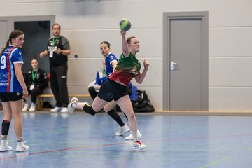 Bild 271 - F HSG Kremperheide/Muensterdorf - HSG Holstein Kiel/Kronshagen : Ergebnis: 31:26
